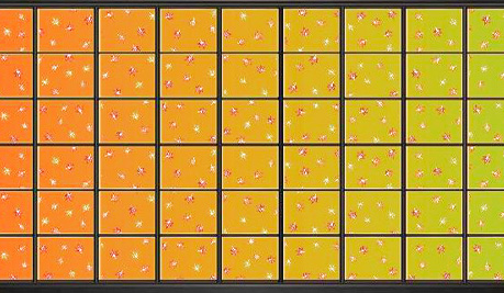 赤華（紅葉）の写真２